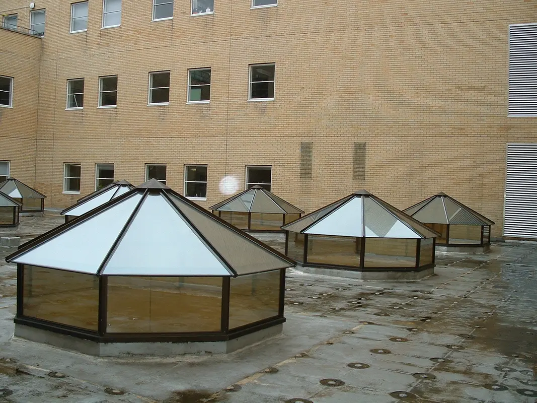 Flat Roof Skylights South Lambeth